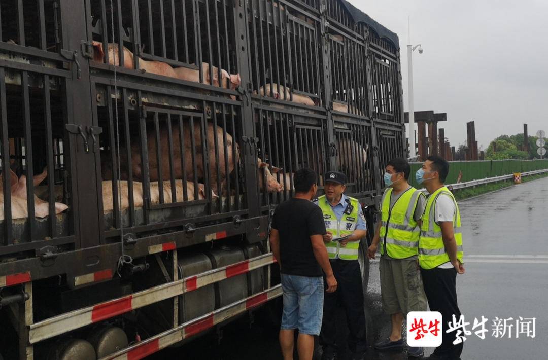 外地迁入锦州二手车_外地锦州迁入二手车政策_锦州二手车可以落户沈阳吗