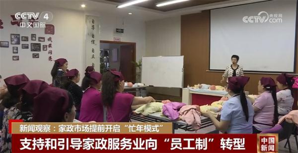 上海家政公司多少家_上海家政公司数量_上海家政数量公司有多少家