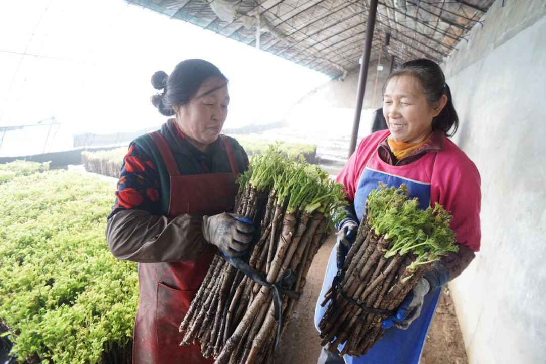 抚顺家政好公司有哪些_抚顺家政公司所有电话_抚顺家政公司哪家好