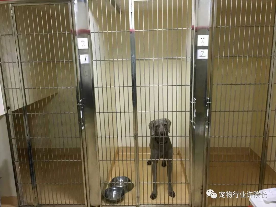 门头装修材料有哪些_装修门头材料有哪些种类_装修门头材料有甲醛吗