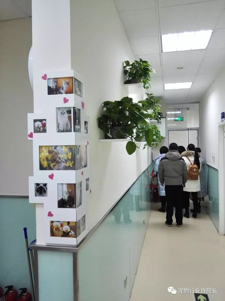 装修门头材料有甲醛吗_装修门头材料有哪些种类_门头装修材料有哪些