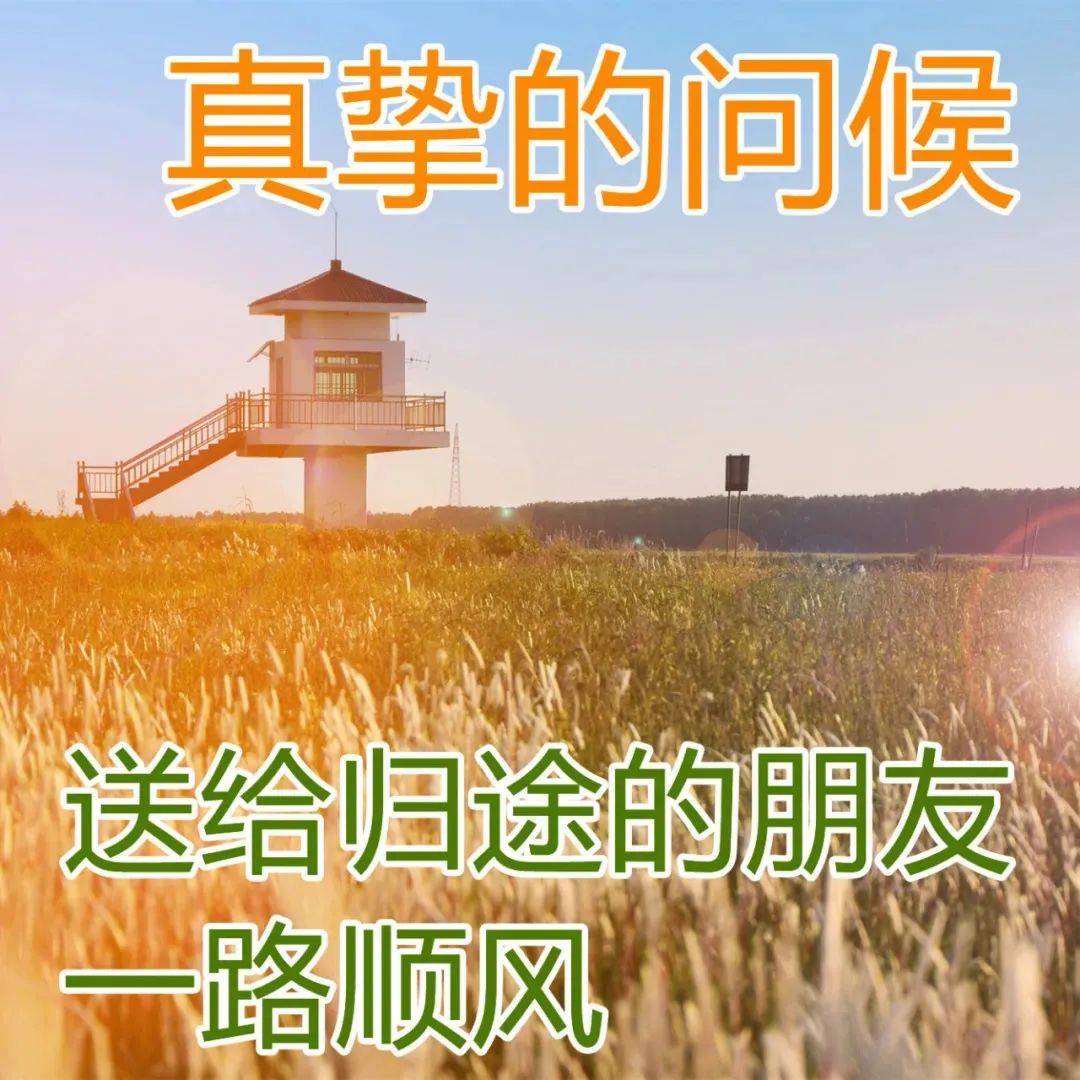 友情鸡汤句子_心灵鸡汤语录 友情_友情心灵鸡汤经典语录