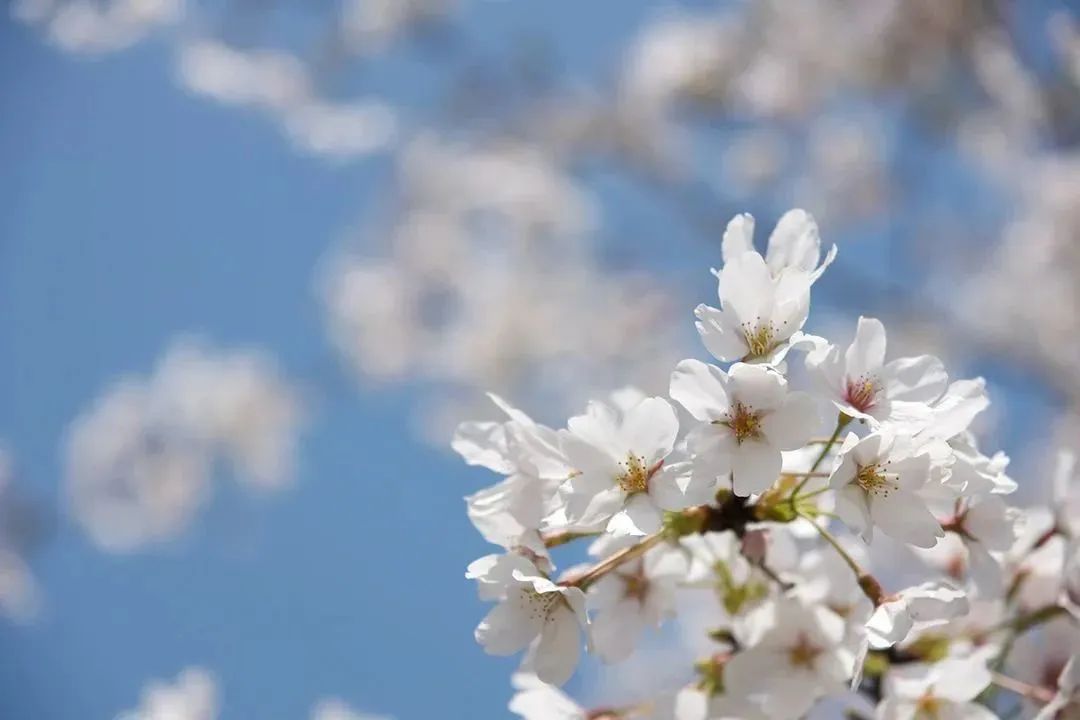 缓解职场压力的培训通知_职场减压培训_职场减压讲座