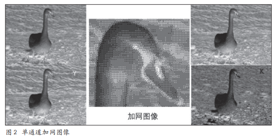 网点网线制版软件_网线模版怎么接线_网线制作工具