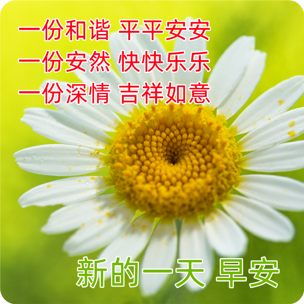 鸡汤心灵文字图片高清_鸡汤心灵语录手写图片_心灵鸡汤文字图