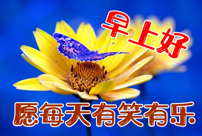 鸡汤心灵文字图片高清_心灵鸡汤文字图_鸡汤心灵语录手写图片