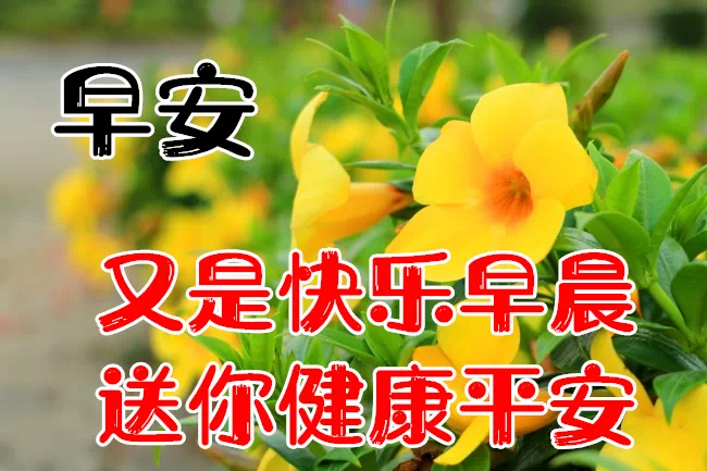 鸡汤心灵文字图片高清_心灵鸡汤文字图_鸡汤心灵语录手写图片