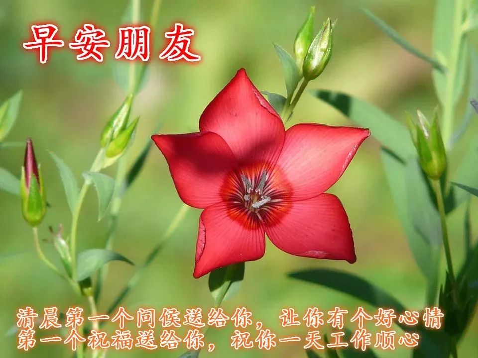 鸡汤心灵文字图片高清_心灵鸡汤文字图_鸡汤心灵语录手写图片