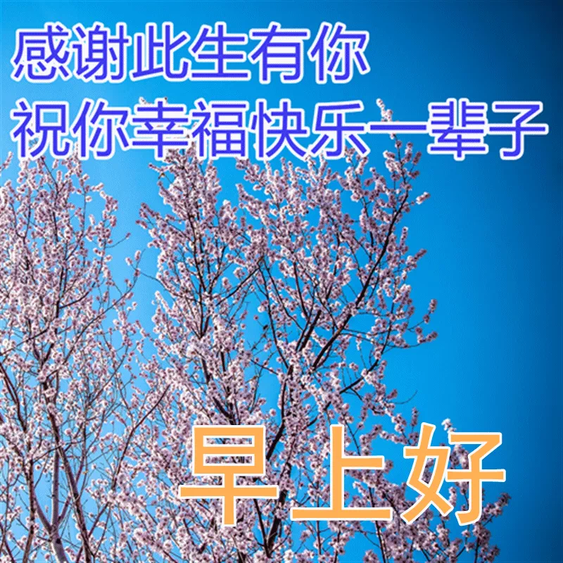 心灵鸡汤励志语录_励志鸡汤心灵短句_励志心灵鸡汤长句