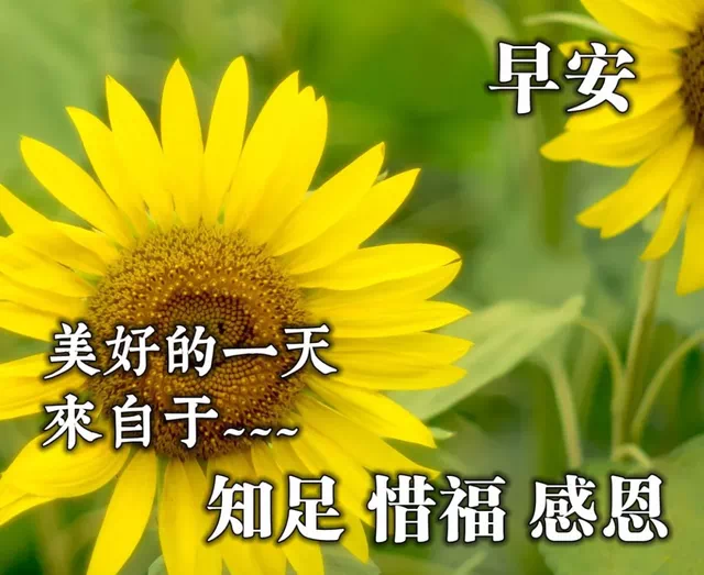 励志鸡汤心灵短句_心灵鸡汤励志语录_励志心灵鸡汤长句