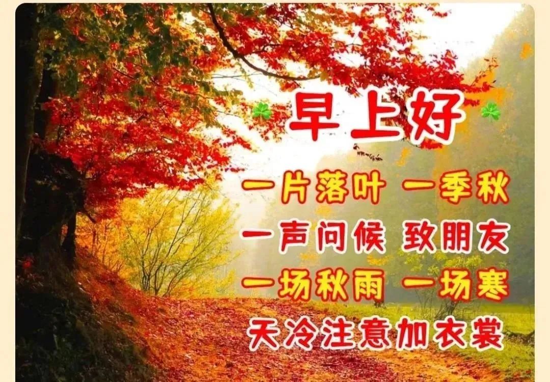 鸡汤心灵配图_乐读网心灵鸡汤_鸡汤心灵