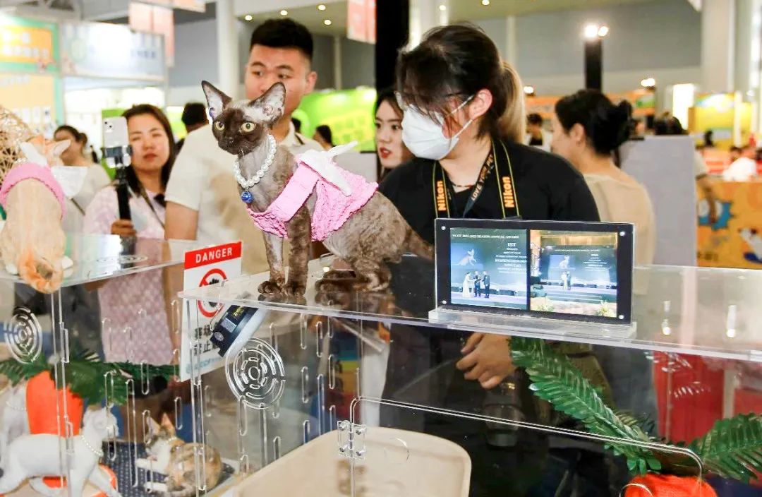 展会搭建_展会_展会网站