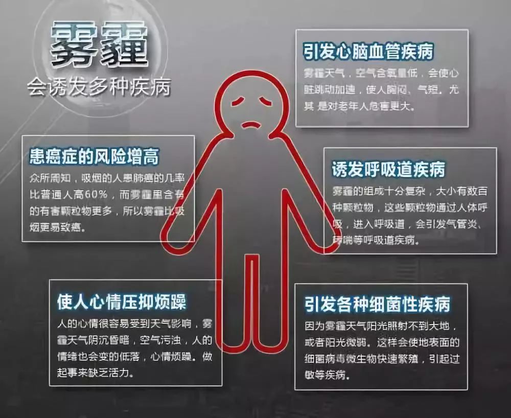 于丹心灵鸡汤的危害_鸡汤害人不浅_鸡汤害人