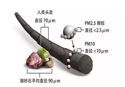 于丹心灵鸡汤的危害_鸡汤害人不浅_鸡汤害人