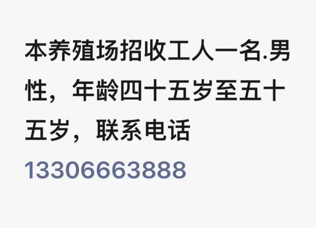 招聘信息在哪个网站看_招聘信息免费模板_招聘信息