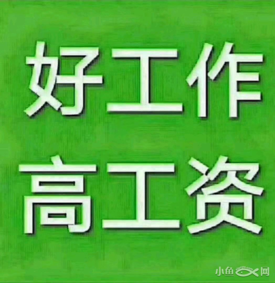 最高月薪2.5万元，金山这家企业招聘啦！