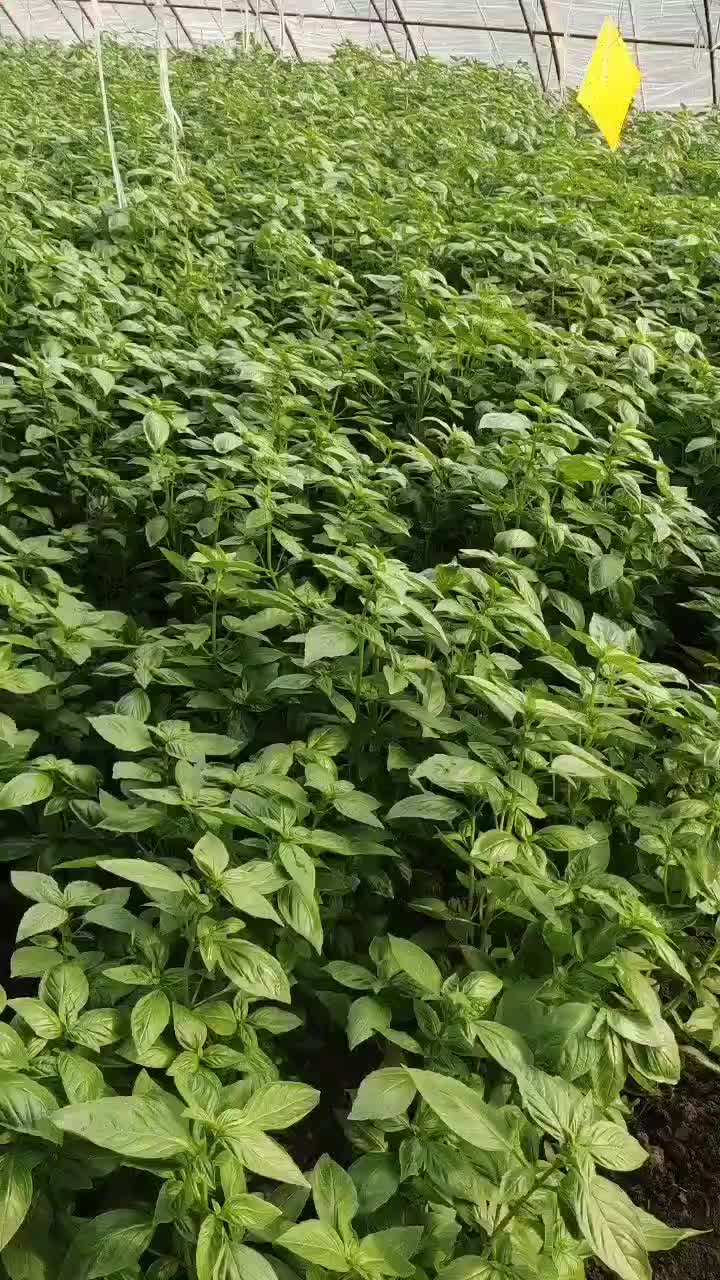 【招聘信息】今日船员工资行情，最新船员招聘信息