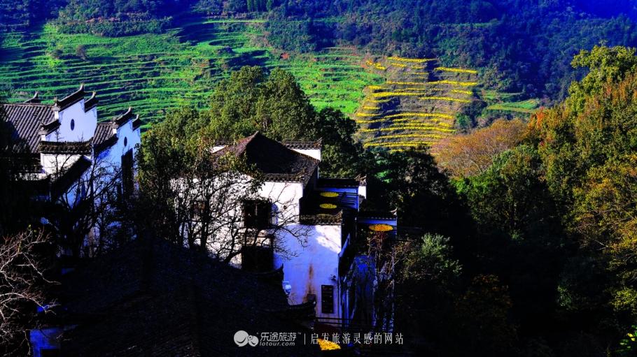 心灵鸡汤：豆蔻年华_心灵鸡汤：豆蔻年华_心灵鸡汤：豆蔻年华