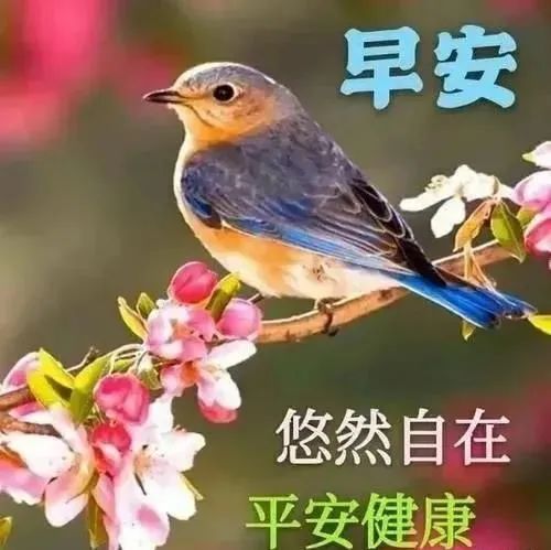 励志心灵鸡汤_励志心灵鸡汤短句_励志心灵鸡汤句子