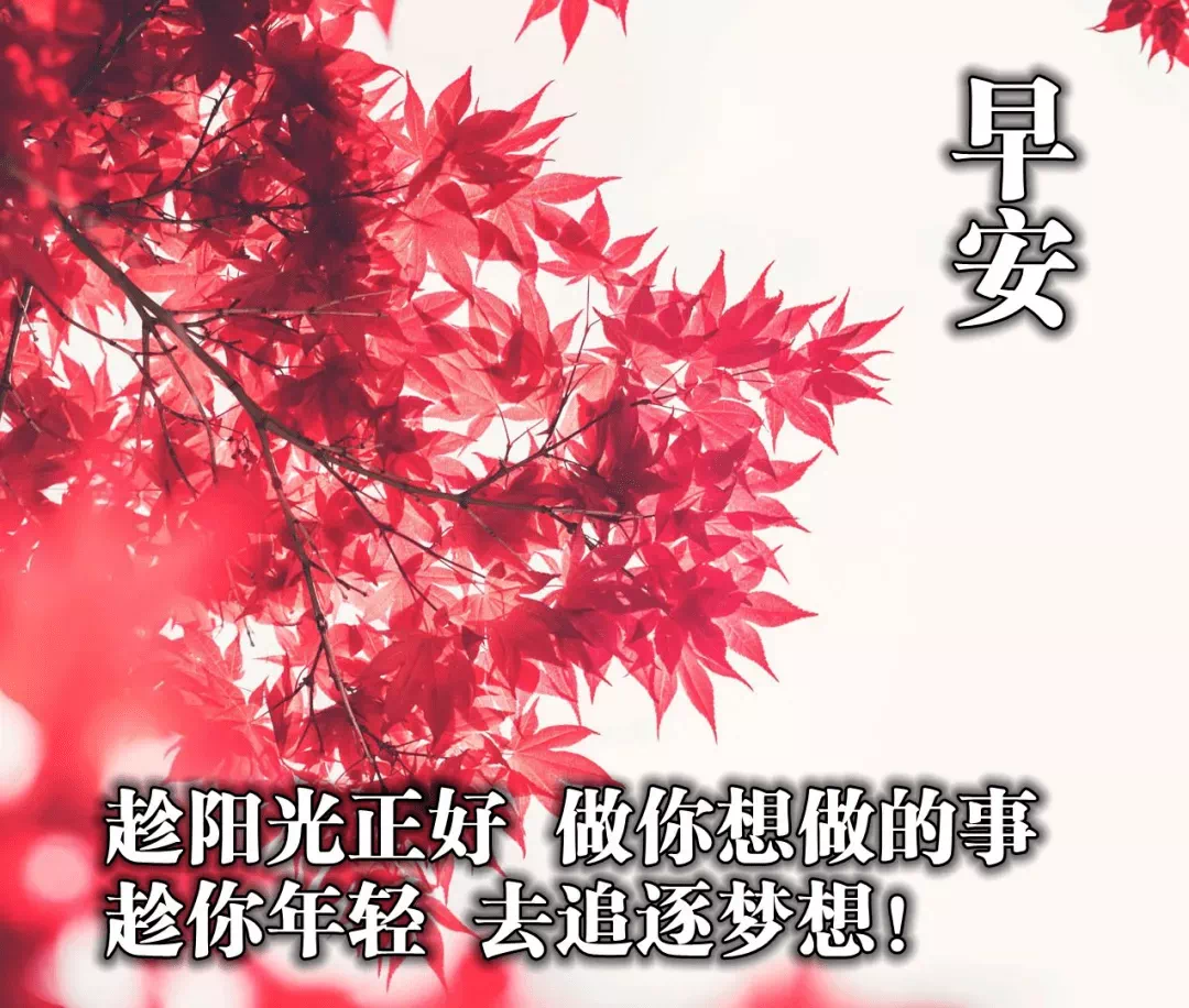 励志心灵鸡汤_励志心灵鸡汤句子_励志心灵鸡汤短句