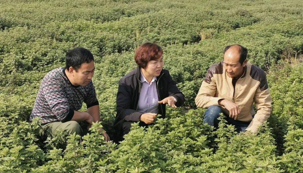 房山家政公司电话查询_房山家政公司_房山区家政公司