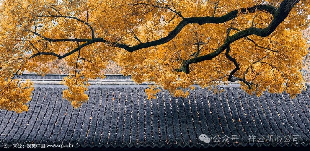 招聘信息在哪个网站看_招聘信息_招聘信息网有哪些平台