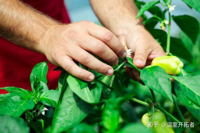 指南钢稳定结构设计规范最新_钢结构稳定设计指南_钢结构稳定分析理论的发展历史