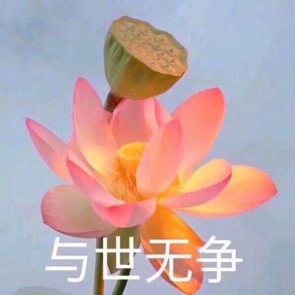 招聘辅导老师_招聘_招聘上哪个网站
