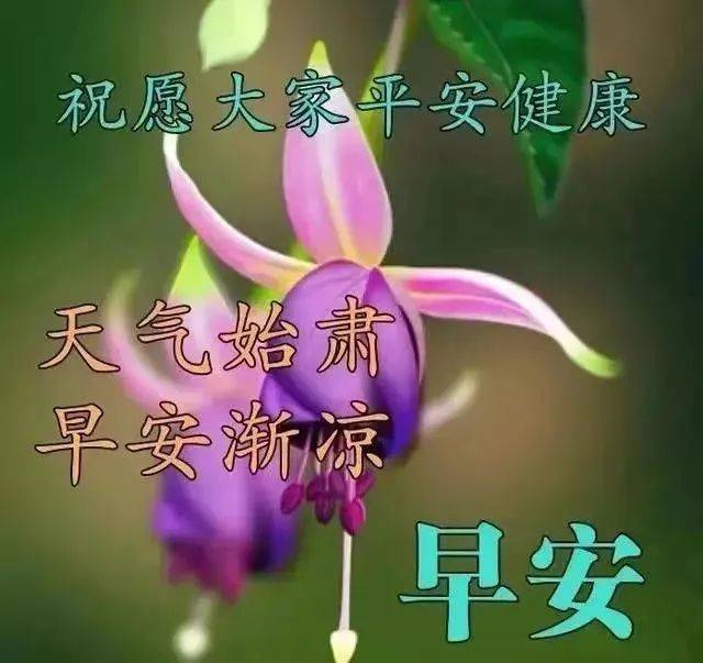 越努力越幸运心灵鸡汤_幸运的心灵鸡汤_鸡汤心灵奋斗