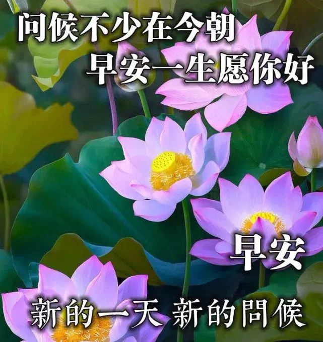 鸡汤心灵奋斗_幸运的心灵鸡汤_越努力越幸运心灵鸡汤