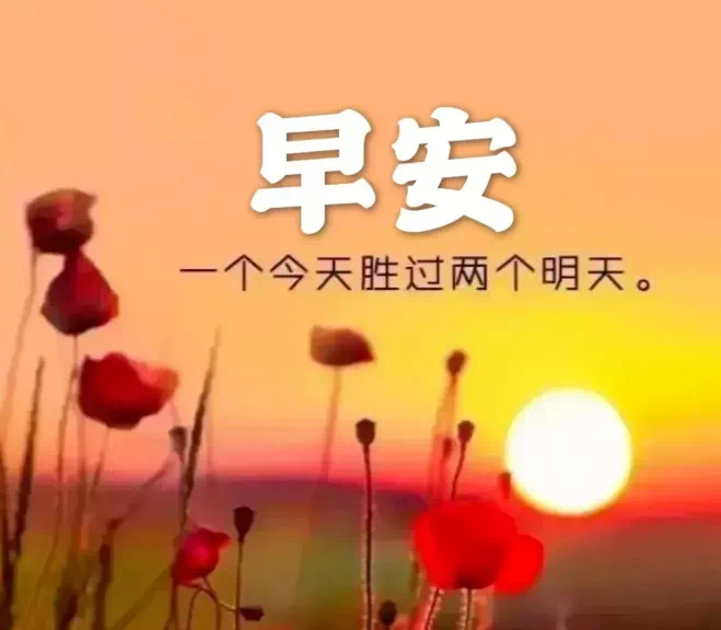 鸡汤心灵正能量_心灵鸡汤好不好_鸡汤心灵鸡汤经典语录