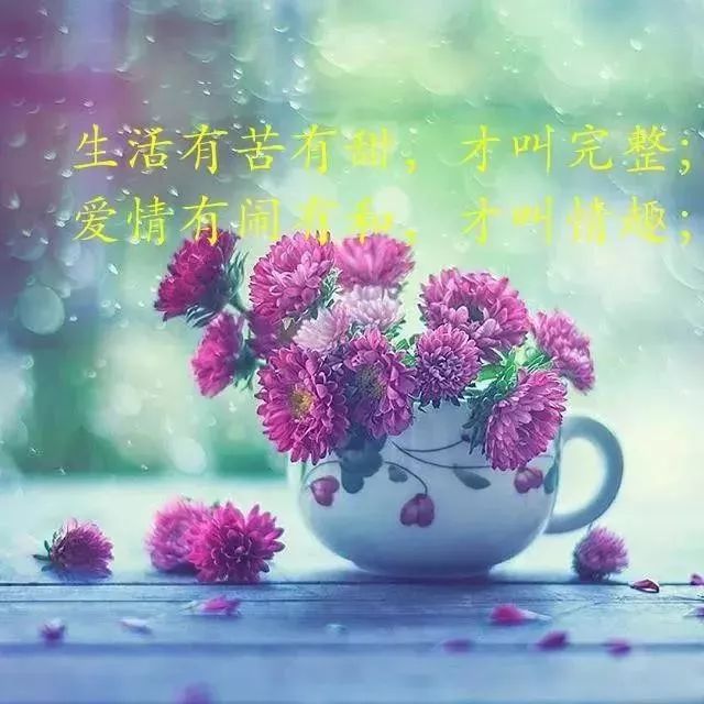 经典鸡汤能量语录_正能量心灵鸡汤文案_正能量心灵鸡汤带图