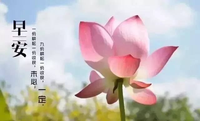 鸡汤心灵的意思_心灵鸡汤好不好_鸡汤心灵正能量