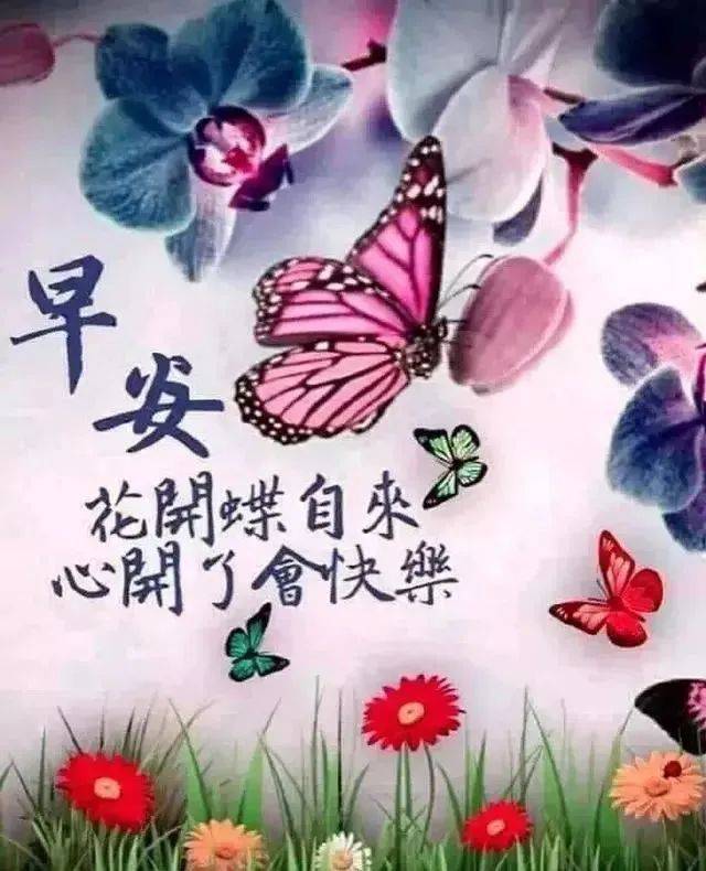 关于友情的心灵鸡汤句子_友情心灵鸡汤经典语录_心灵鸡汤语录 友情