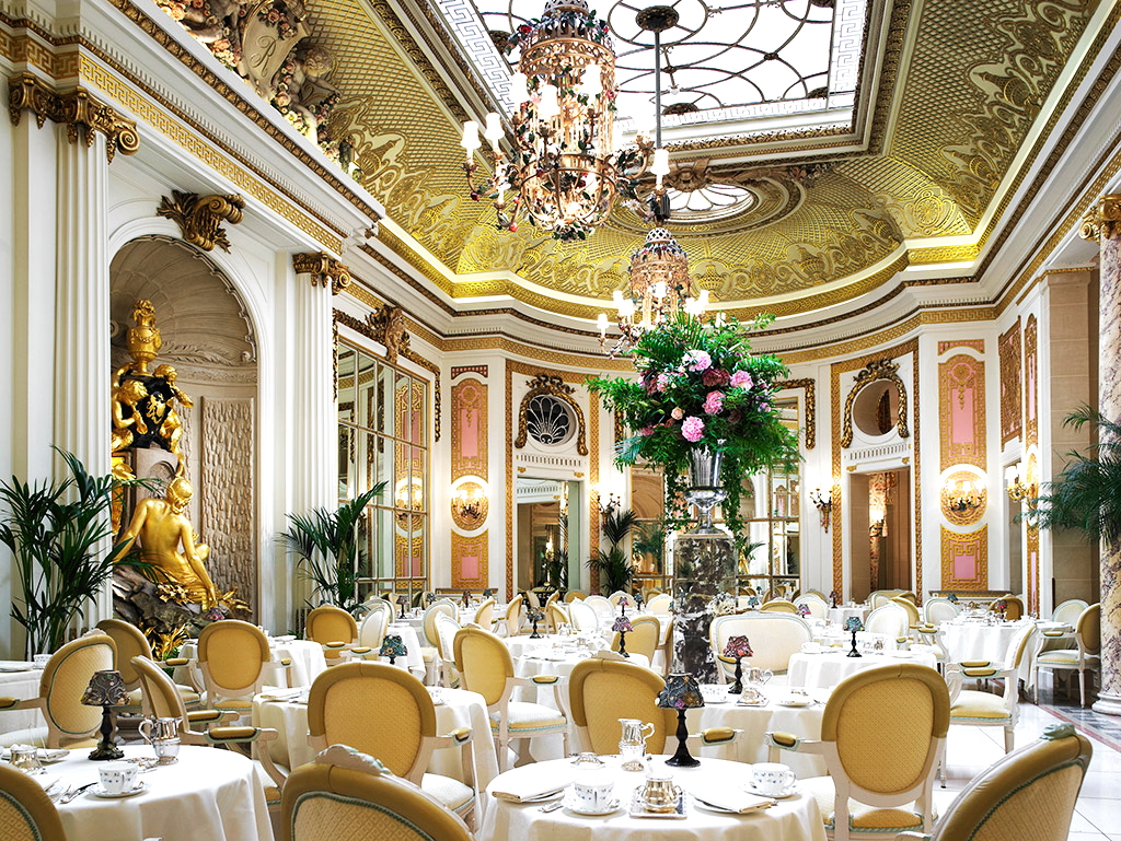 sketch afternoon tea_sketch afternoon tea_sketch afternoon tea