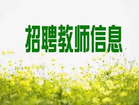 计划招聘24人!惠安县招聘编外合同教师