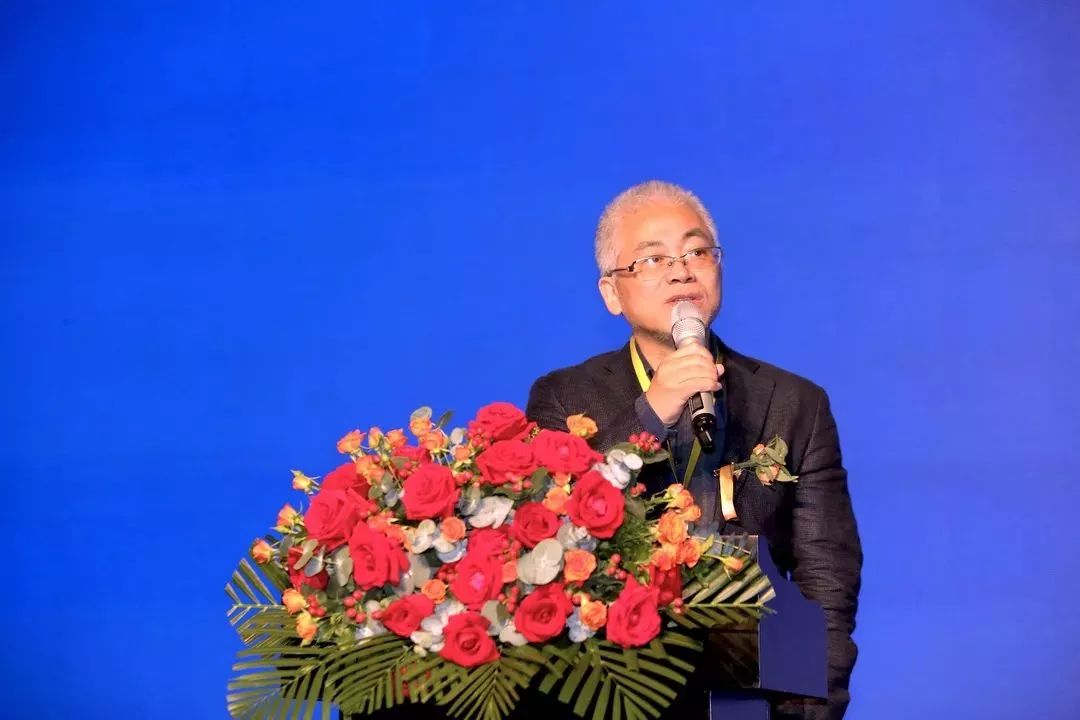 杭州高端建材市场_杭州建材装饰材料市场地址_杭州装修建材论坛