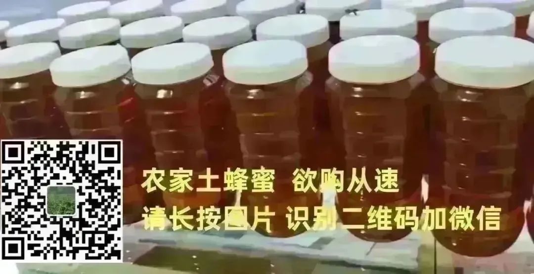 招聘辅导老师_招聘_招聘平台免费