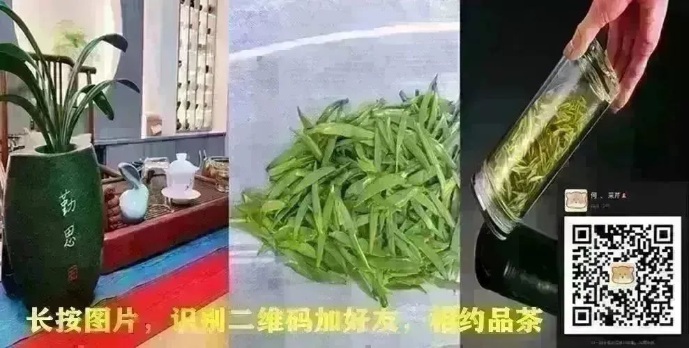 招聘辅导老师_招聘_招聘平台免费