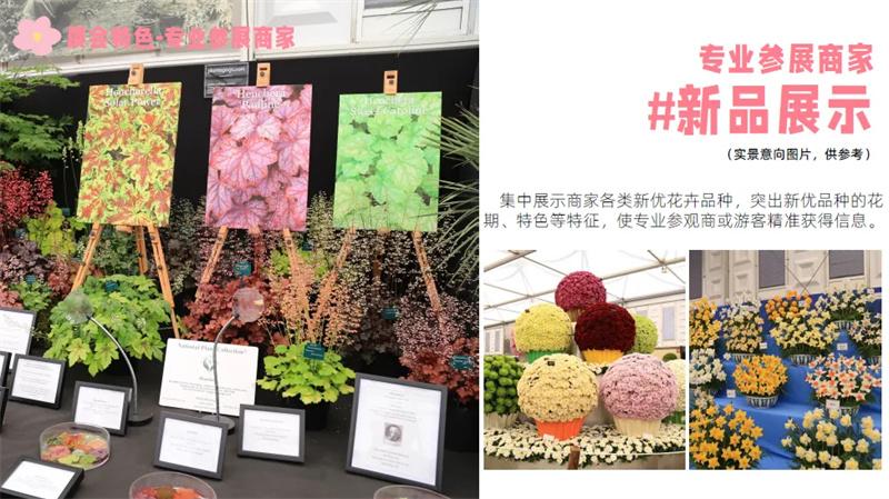 展会网站_展会搭建材料_展会