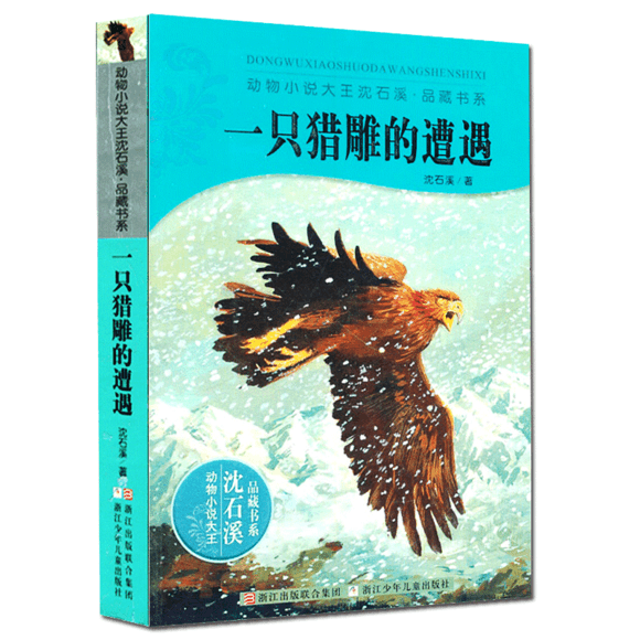 心灵鸡汤读后感350字_心灵鸡汤读后感300_《心灵鸡汤》读后感600字