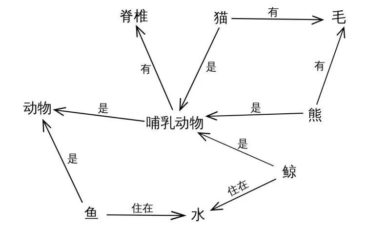 水果翻译单词_翻译水果软件哪个好_水果软件翻译