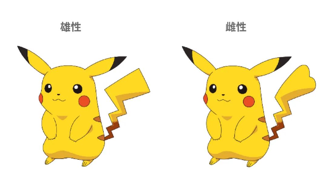 导入可以用什么词代替_导入可以每天做吗_sketch可以导入ai吗