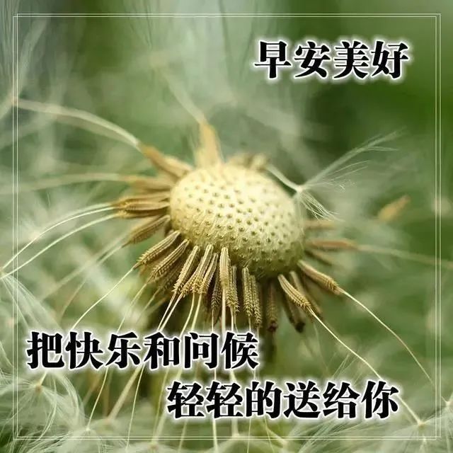 励志的心灵鸡汤语录_励志鸡汤心灵短句_励志心灵鸡汤长句