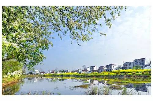 宣城二手车家具市场_宣城二手车家电市场_宣城二手车之家