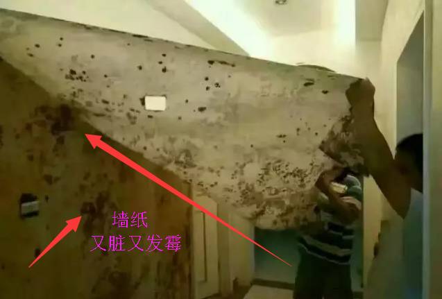装修材料有哪些种类_装修材料有哪几种_装修种材料有哪些种类
