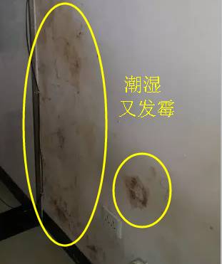 装修种材料有哪些种类_装修材料有哪几种_装修材料有哪些种类