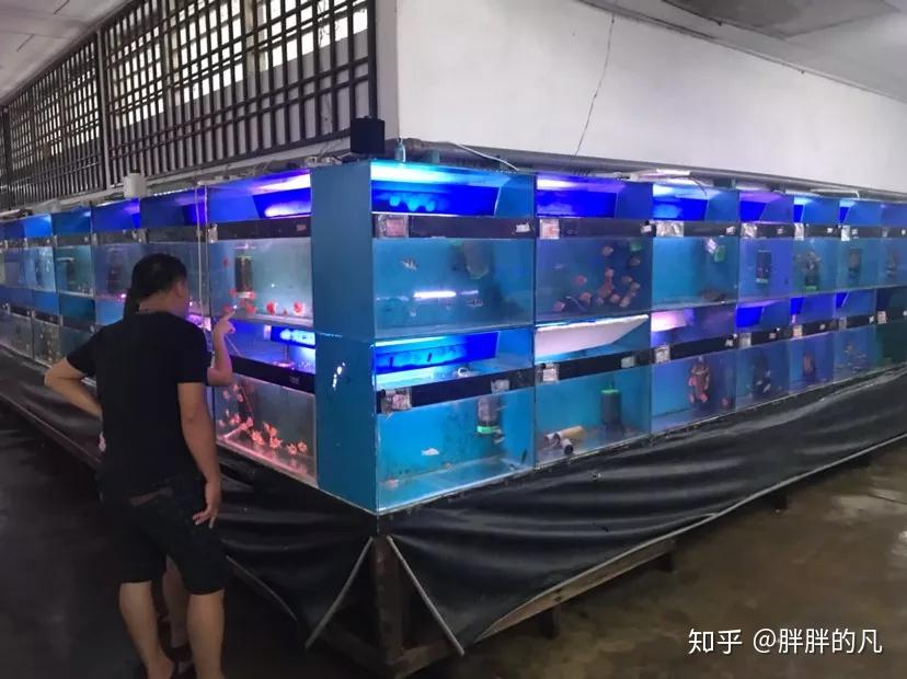 招聘信息要求怎么写_招聘信息_招聘信息发布文案