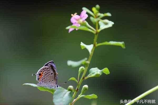 鸡汤害人不浅_鸡汤文危害_朋友圈心灵鸡汤的危害