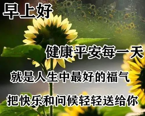 朋友圈鸡汤心情_心灵鸡汤 朋友圈_朋友圈鸡汤文案